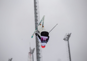 Первенство России <br>по фристайлу – 2026 <br>(могул, парный могул)