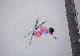 Первенство России <br>по фристайлу – 2026 <br>(могул, парный могул)