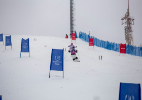 Первенство России <br>по фристайлу – 2026 <br>(могул, парный могул)