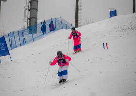 Первенство России <br>по фристайлу – 2026 <br>(могул, парный могул)