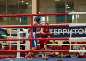 Международная матчевая встреча «Кубок Дружбы» (22-23.08.2026)