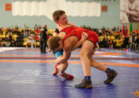 Борьба в школу!