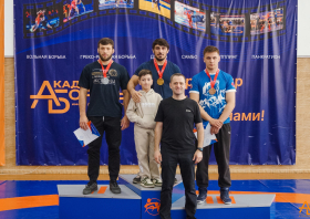 Греко-римская борьба: восемь медалей чемпионата Сибири