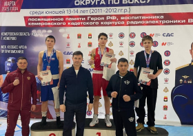 Бокс, дзюдо, ММА: награды Красноярска