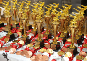 Киокусинкай: лучшие в крае