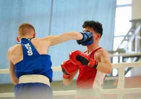 Чемпионат и первенство Красноярского края по боксу – 2026