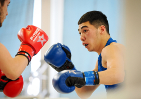 Чемпионат и первенство Красноярского края по боксу – 2026