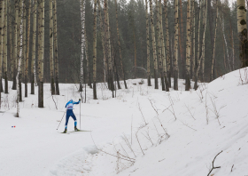 Чемпионат России <br>по спортивному ориентированию <br>(20-23.02.2026)