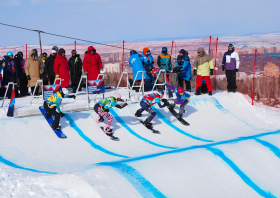 XIII Зимняя спартакиада учащихся (юношеская) России, сноуборд