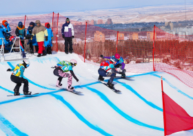 XIII Зимняя спартакиада учащихся (юношеская) России, сноуборд