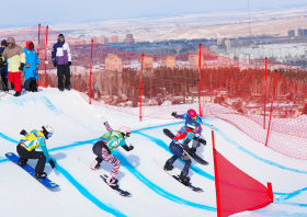 XIII Зимняя спартакиада учащихся (юношеская) России, сноуборд