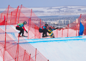 XIII Зимняя спартакиада учащихся (юношеская) России, сноуборд