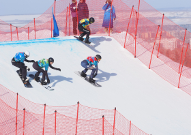 XIII Зимняя спартакиада учащихся (юношеская) России, сноуборд