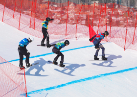 XIII Зимняя спартакиада учащихся (юношеская) России, сноуборд