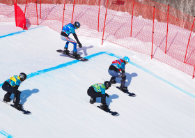 XIII Зимняя спартакиада учащихся (юношеская) России, сноуборд