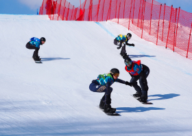 XIII Зимняя спартакиада учащихся (юношеская) России, сноуборд