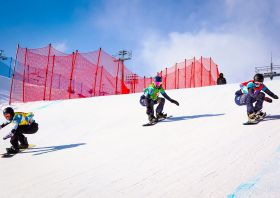 XIII Зимняя спартакиада учащихся (юношеская) России, сноуборд