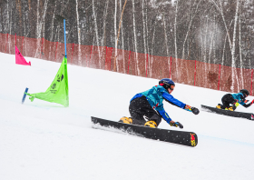 XIII Зимняя спартакиада учащихся (юношеская) России, сноуборд