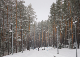 Первенство России <br>по биатлону (15-21.03.2026)