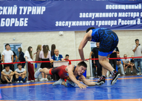 Всероссийские соревнования по вольной борьбе на призы Виктора Алексеева