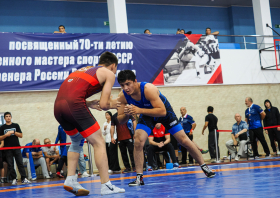 Всероссийские соревнования по вольной борьбе на призы Виктора Алексеева
