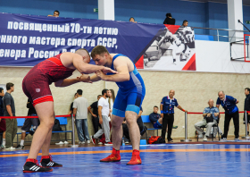 Всероссийские соревнования по вольной борьбе на призы Виктора Алексеева