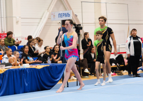 Кубок заслуженного тренера России Сергея Плешкова – 2025