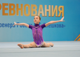 Кубок заслуженного тренера России Сергея Плешкова – 2025