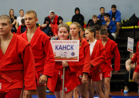 Всероссийский день самбо (16.11.2025)