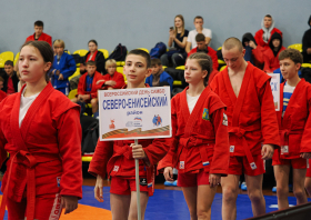 Всероссийский день самбо (16.11.2025)