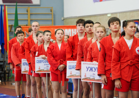 Всероссийский день самбо (16.11.2025)