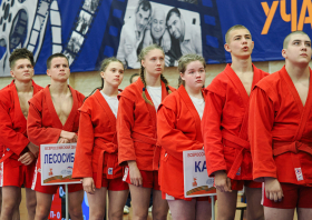 Всероссийский день самбо (16.11.2025)