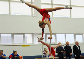 Всероссийский день самбо (16.11.2025)