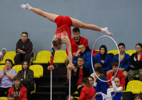Всероссийский день самбо (16.11.2025)