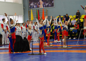 Всероссийский день самбо (16.11.2025)