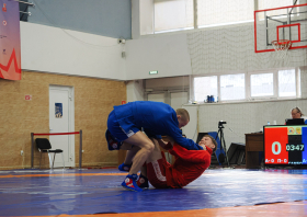 Всероссийский день самбо (16.11.2025)