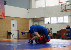 Всероссийский день самбо (16.11.2025)