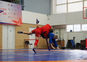 Всероссийский день самбо (16.11.2025)