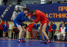 Всероссийский день самбо (16.11.2025)