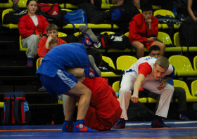 Всероссийский день самбо (16.11.2025)