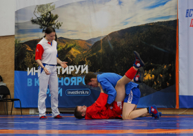 Всероссийский день самбо (16.11.2025)