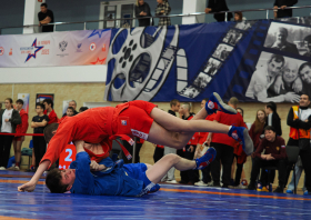 Всероссийский день самбо (16.11.2025)