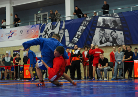 Всероссийский день самбо (16.11.2025)