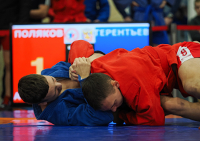 Всероссийский день самбо (16.11.2025)