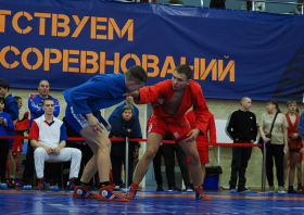 Всероссийский день самбо (16.11.2025)