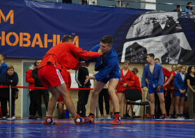 Всероссийский день самбо (16.11.2025)