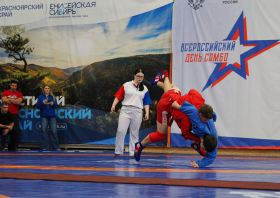 Всероссийский день самбо (16.11.2025)