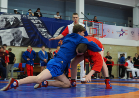 В Красноярске прошел Всероссийский день самбо