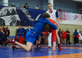 Всероссийский день самбо (16.11.2025)