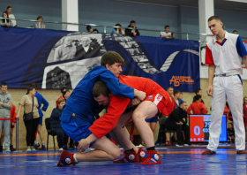 Всероссийский день самбо (16.11.2025)